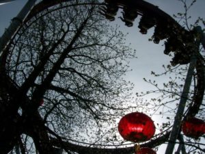 Cruise and Travel Report Demon Roller Coaster